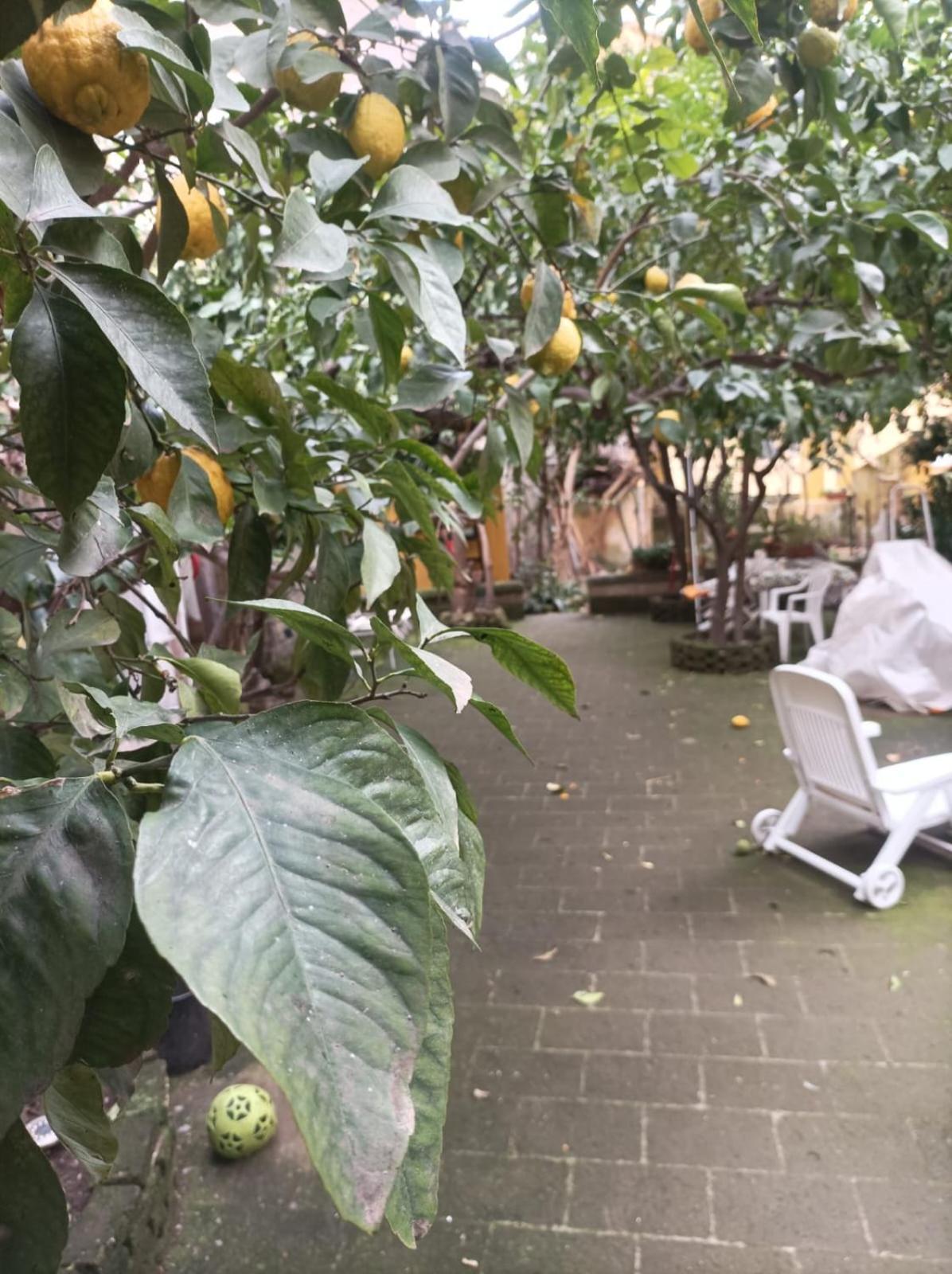 Hotel Il Giardino Nascosto Neapel Exterior foto